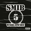 BLM SMIB