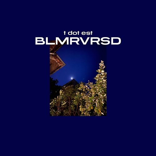BLMRVRSD t dot est