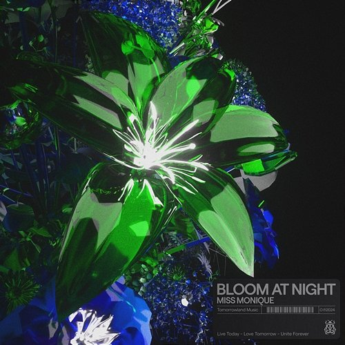 Bloom At Night Miss Monique