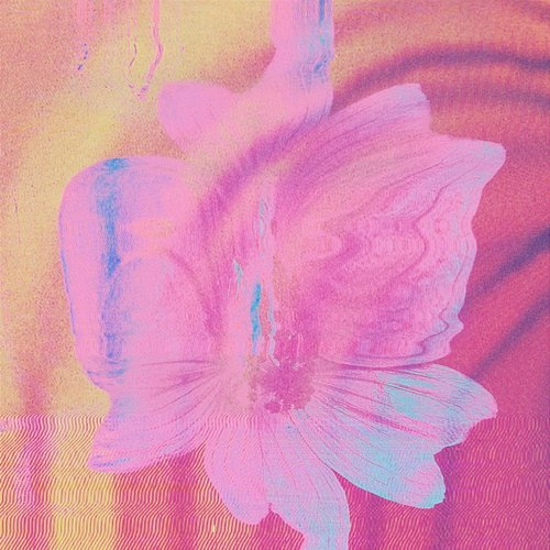 Bloom Slamino