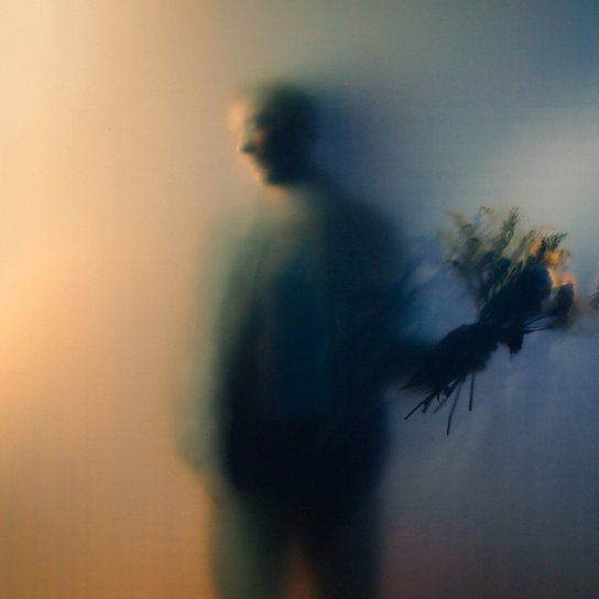 Bloom Bohmer Ben