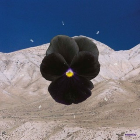 Blooming Archil & Leon