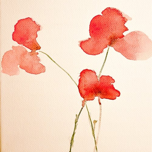 Blossom Arian Müller