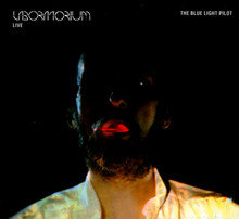 Blue Light Pilot - Live Laboratorium