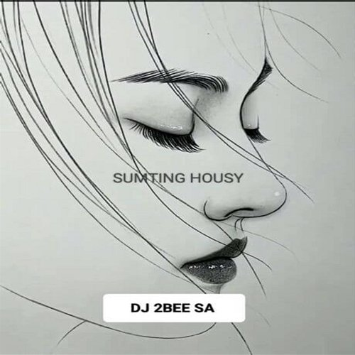 Blue Moon DJ 2BEE SA