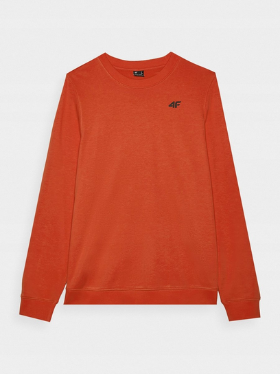 BLUZA MĘSKA TSWSM1767 4F L 4F