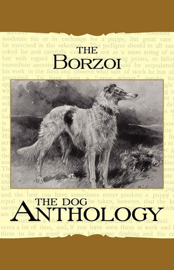 Borzoi Various