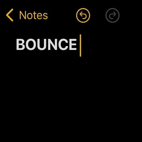 BOUNCE BIG JED