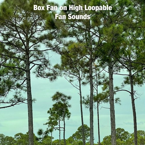Box Fan On High Loopable Fan Sounds