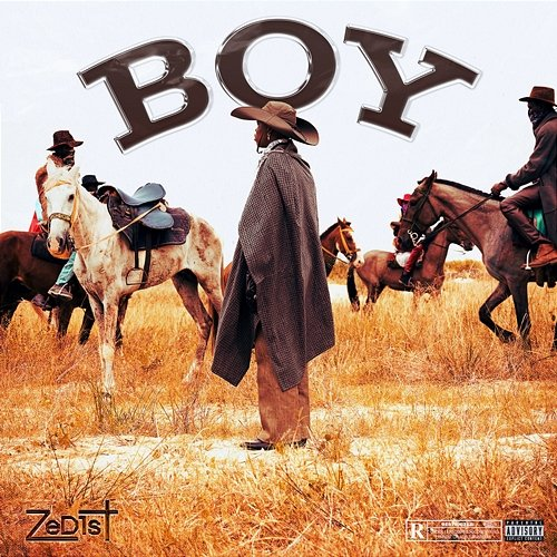 Boy ZeD1ST