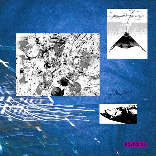 BOYCOLD 2 VINXEN