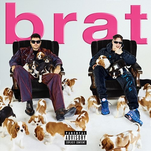 brat Pil C, Luca Brassi10x