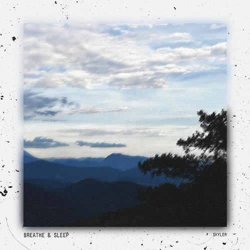 Breathe & Sleep Skyler