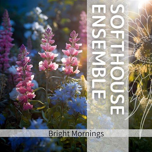 Bright Mornings Softhouse Ensemble