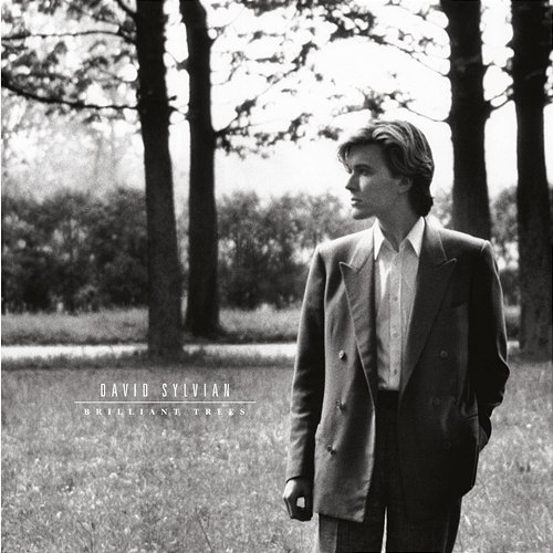 Brilliant Trees David Sylvian