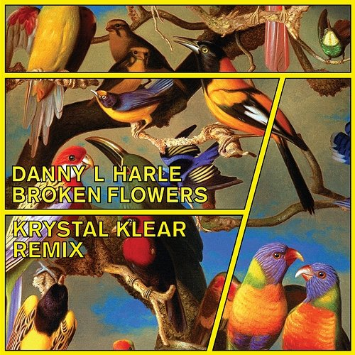 Broken Flowers Danny L Harle