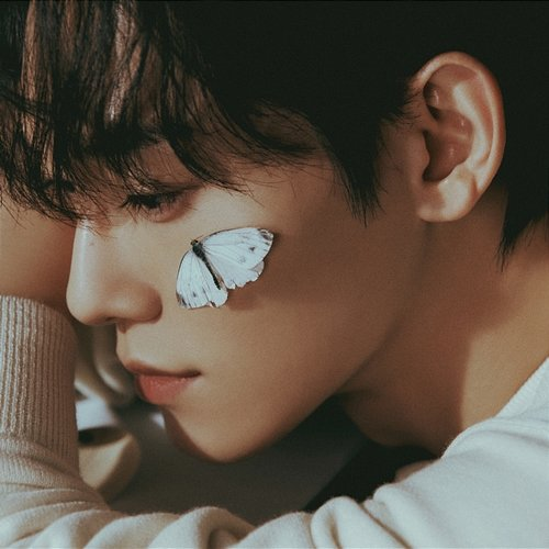 Broken Party Chen