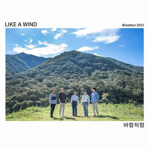Brooklyn Like A Wind