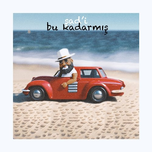 bu kadarmış şad'i