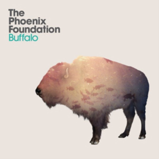 Buffalo The Phoenix Foundation