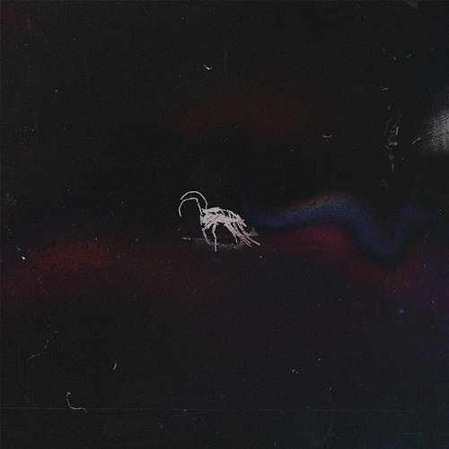 bugtape DISSY