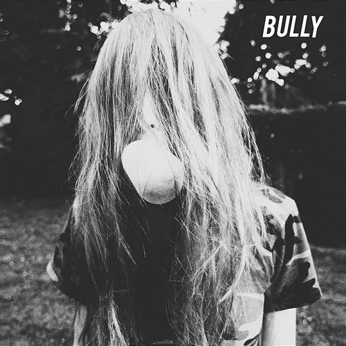 Bully Bully