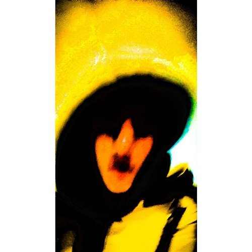 Bumblebee Gorczak