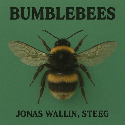 Bumblebees Jonas Wallin, Steeg