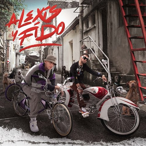 Bumbunea Alexis Y Fido