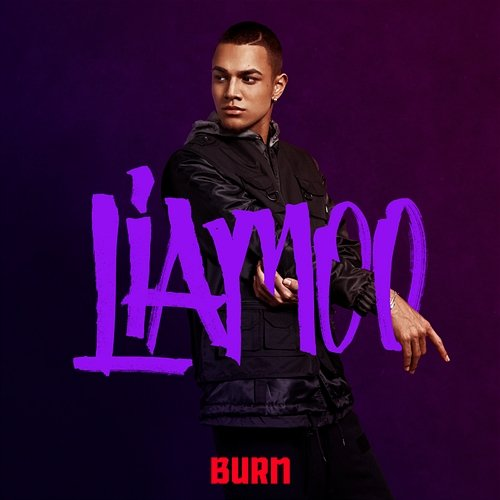 Burn LIAMOO