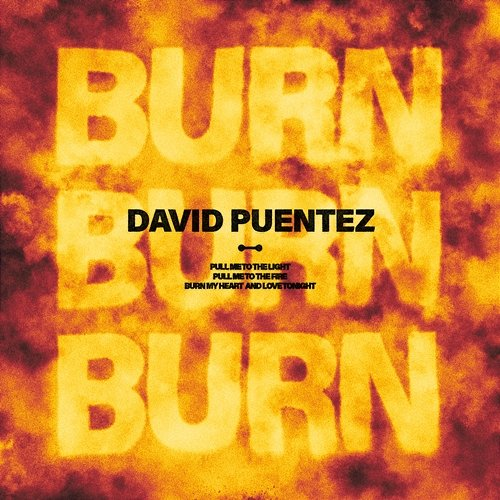 Burn David Puentez