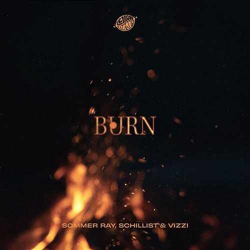 Burn Sommer Ray, Schillist, VIZZI