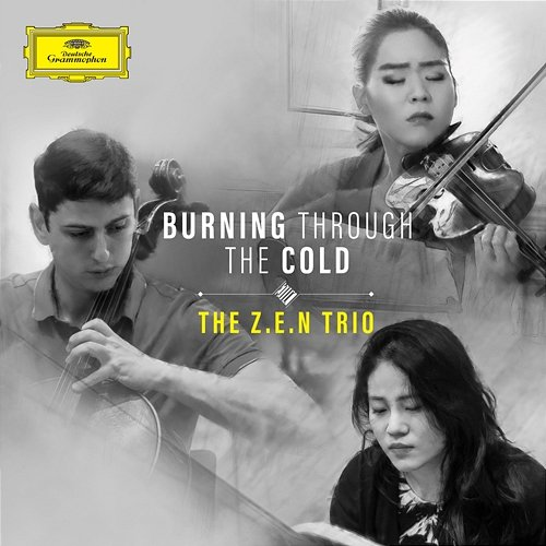 Burning Through The Cold The Z.E.N. Trio