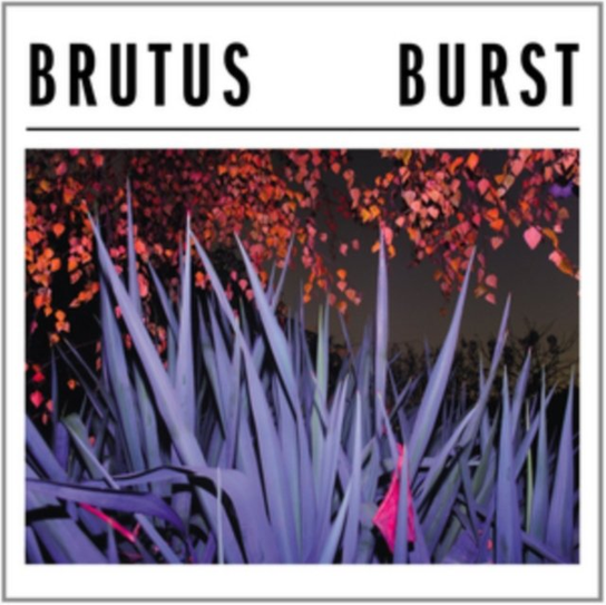 Burst Brutus