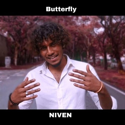 Butterfly Niven