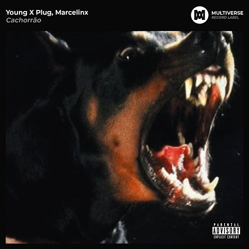 Cachorrão Young X Plug, Marcelinx