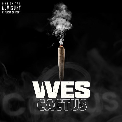 CACTUS VVES