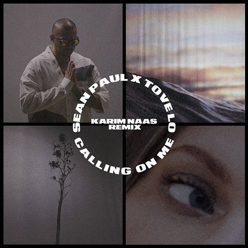 Calling on Me Sean Paul, Tove Lo