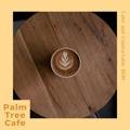 Calm and Comfortable Bgm Palm Tree Cafe