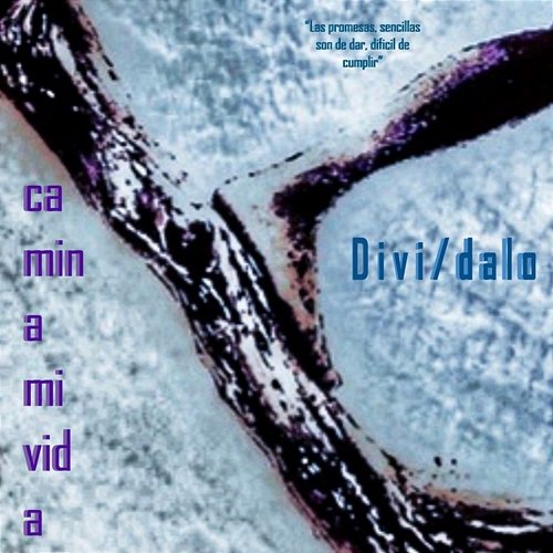 Camina Mi Vida Divídalo