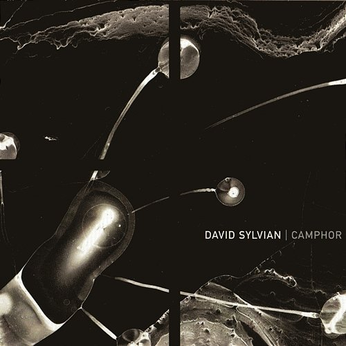 Camphor David Sylvian