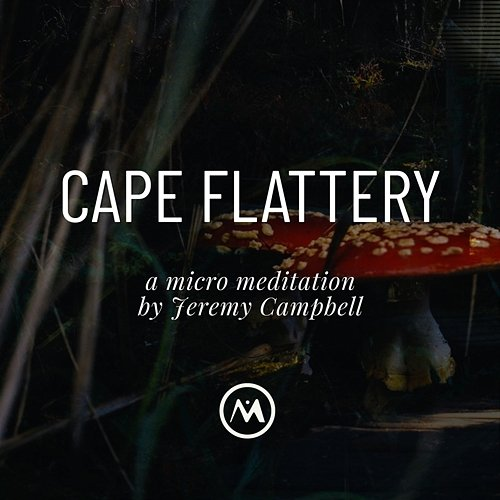 Cape Flattery Micro Meditations, Jeremy Campbell