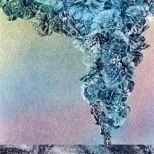 Carnation Daughn Gibson