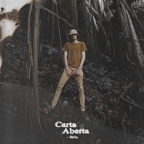 Carta Aberta Faria