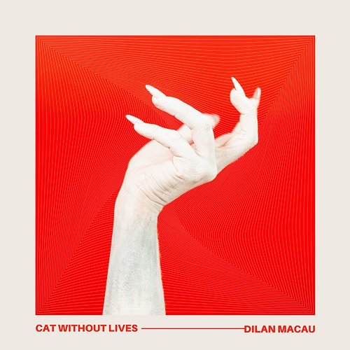 Cat Without Lives DILAN MACAU