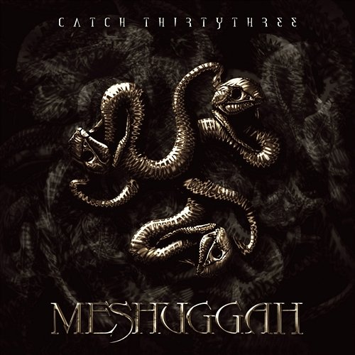 Catch ThirtyThree Meshuggah
