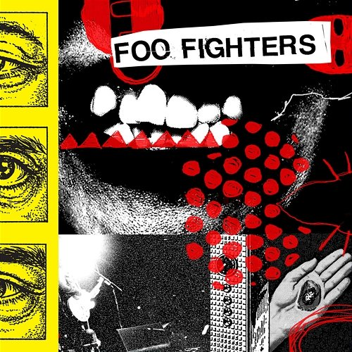 Caught in the Echo Foo Fighters