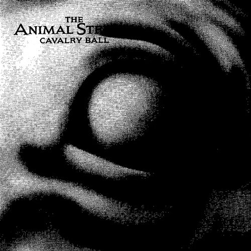 Cavalry Ball The Animal Stream