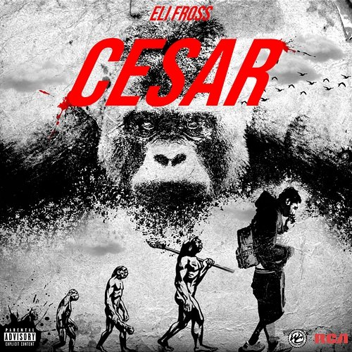 CESAR Eli Fross