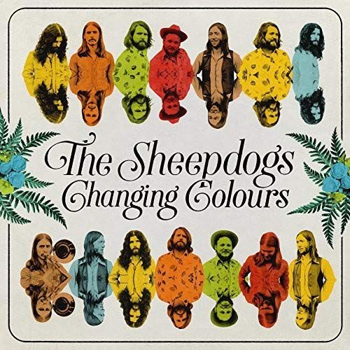 Changing Colours Sheepdogs